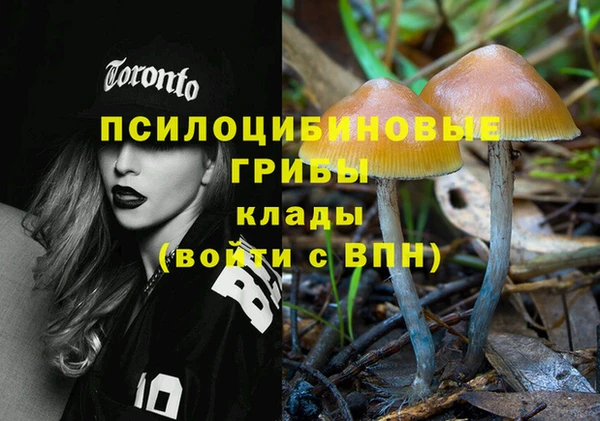 альфа пвп Нягань