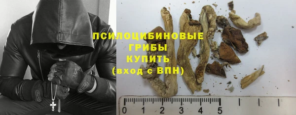 дживик Нязепетровск