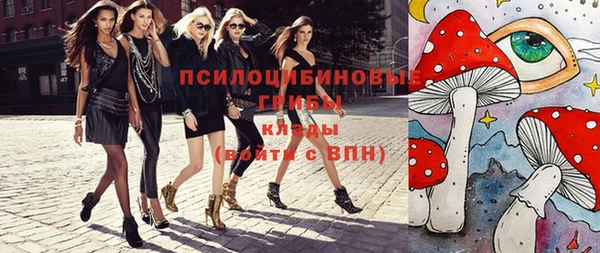 гашиш Няндома