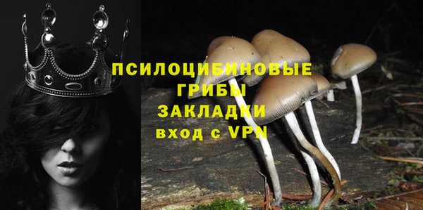 дживик Нязепетровск
