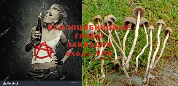 гашиш Няндома