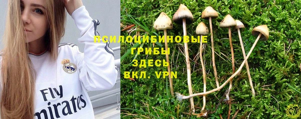 дживик Нязепетровск