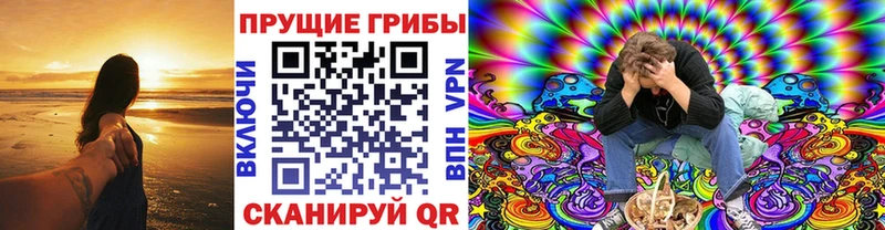 дарк нет наркотические препараты где купить наркоту Первомайск Псилоцибиновые грибы ЛСД
